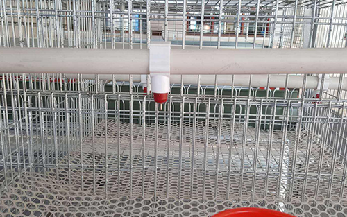 全自养鸡设备优势有哪些 